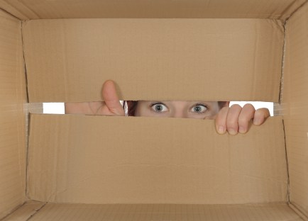 shutterstock_98329514