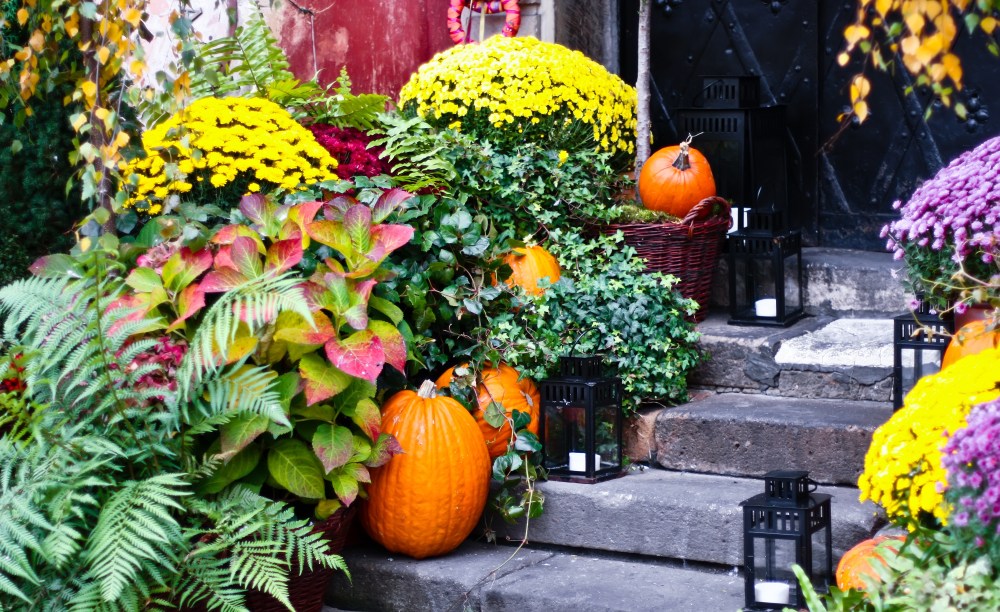 fall-walkway-with-pumpkins