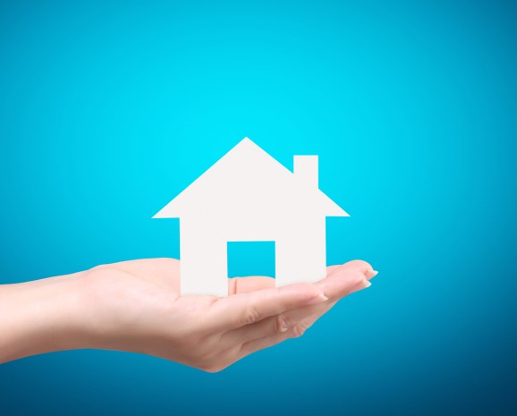 HouseInHand_162314588