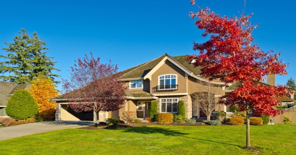 exteriorhome_95898856_ 1000x525