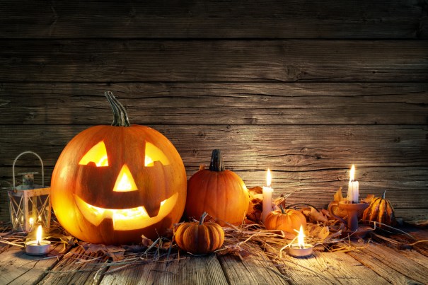 Pumpkins_706780021.jpg