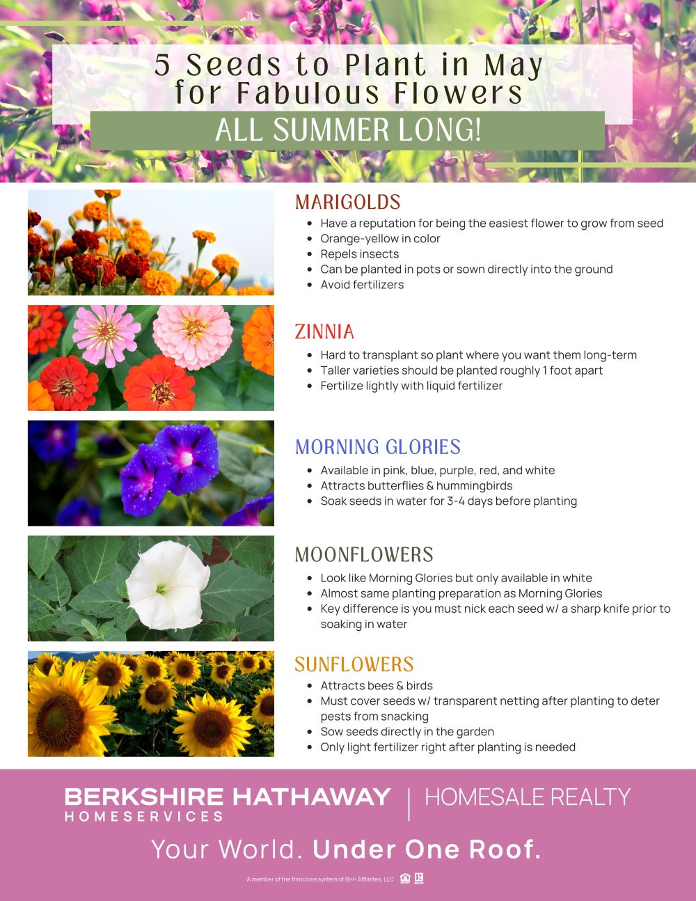 May 2023 IOV flyer - Company branded